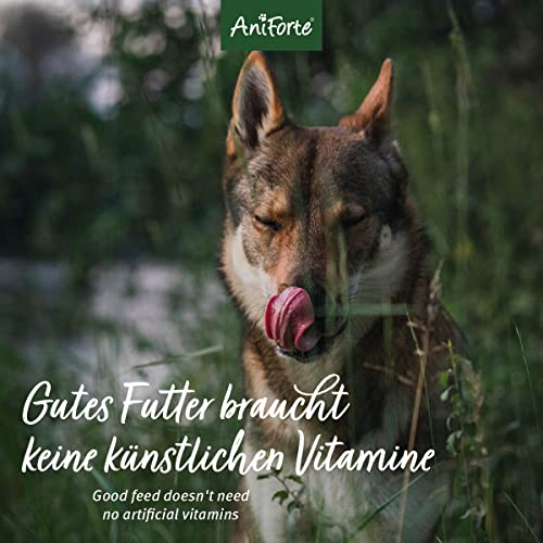 AniForte-Hundefutter AniForte Trockenfutter für Hunde Lachs 14kg