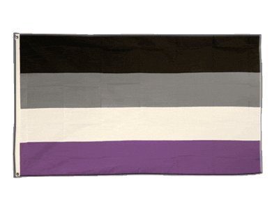 Asexuell-Flagge Flaggenfritze Flagge Asexuell 90 x 150 cm