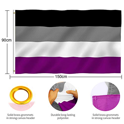 Asexuell-Flagge TOLOVIC Regenbogen Lesbische Flagge