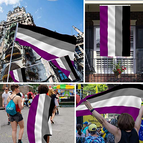 Asexuell-Flagge TOLOVIC Regenbogen Lesbische Flagge