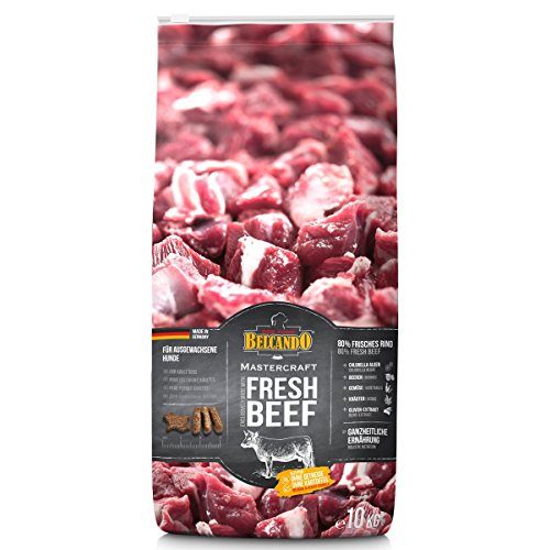 Die beste belcando hundefutter belcando mastercraft fresh beef 10kg Bestsleller kaufen