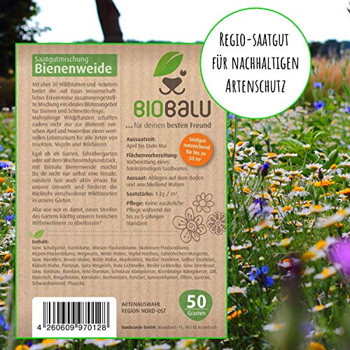 Bienenfutter Biobalu Bienenweide, Blumenwiese Samen 50g