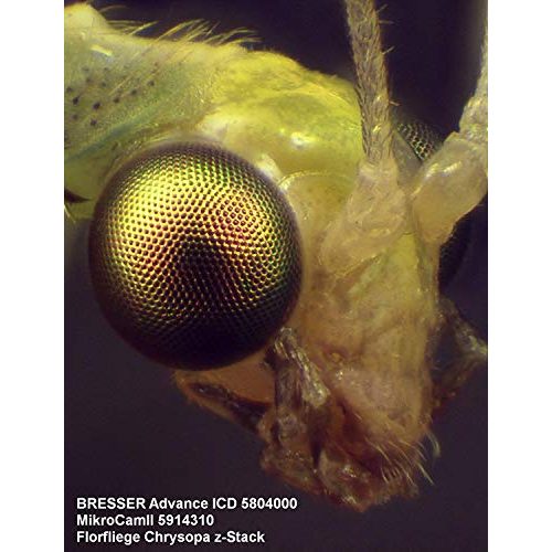 Bresser-Mikroskop Bresser 3D Stereo Auflicht- Durchlicht