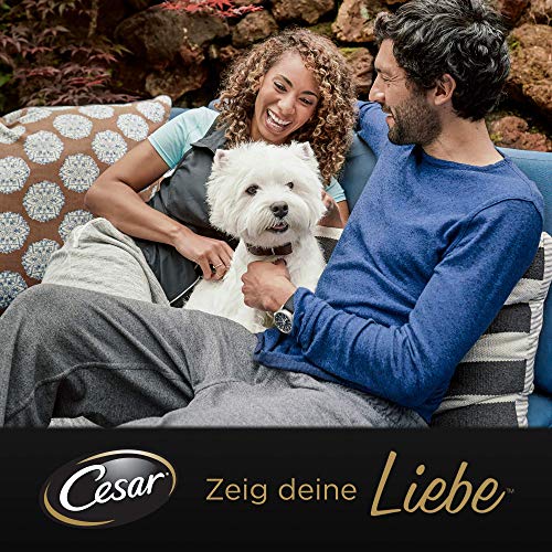 Cesar-Hundefutter Cesar Klassiker Selektion Terrines en Duo