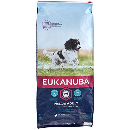 Die beste eukanuba hundefutter eukanuba hund adult medium breed Bestsleller kaufen