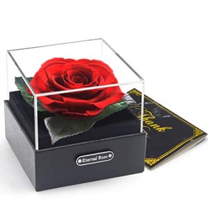 Ewige Rose An Rosen Box, Infinity Rose, rot, 3 Jahre haltbar