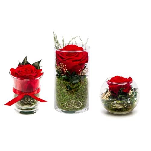 Ewige Rose Rosen-Te-Amo, konservierte ewige rote Rose im Glas