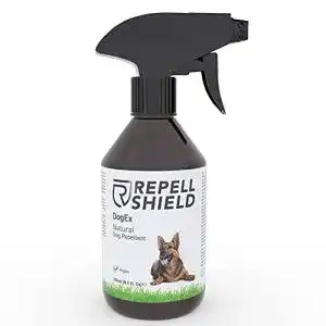 Die beste Fernhaltespray Hunde 2026 Test Bestseller Fernhaltespray Hunde