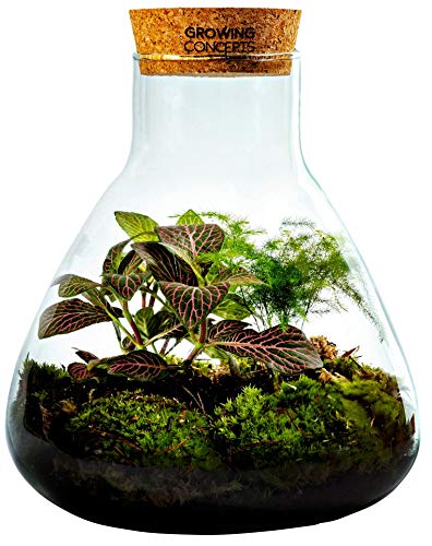 Die beste flaschengarten growing concepts be different mit kork Bestsleller kaufen