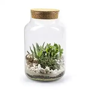 Flaschengarten WL PLANTS Blumenvase modern ø 19cm