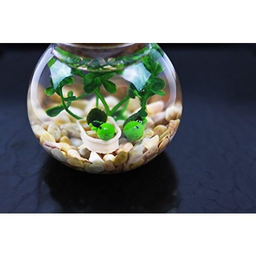 Goldfischglas OMEM Set Mini, Lichter, kleine Schildkröten