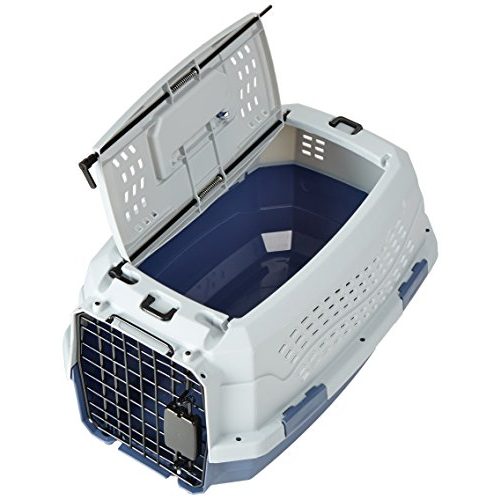 Hundebox Kunststoff Amazon Basics Transportbox, 2 Türen