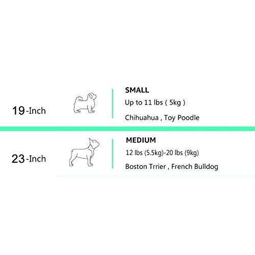 Hundebox Kunststoff Amazon Basics Transportbox, 2 Türen