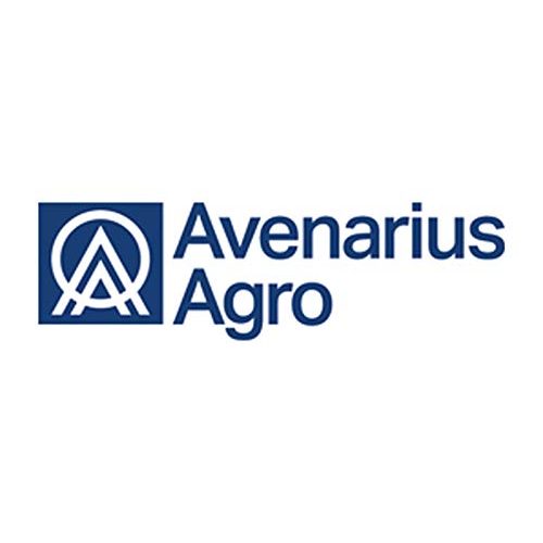 Kaltasphalt Avenarius Agro REPHALT 0/2 mm, 10 kg