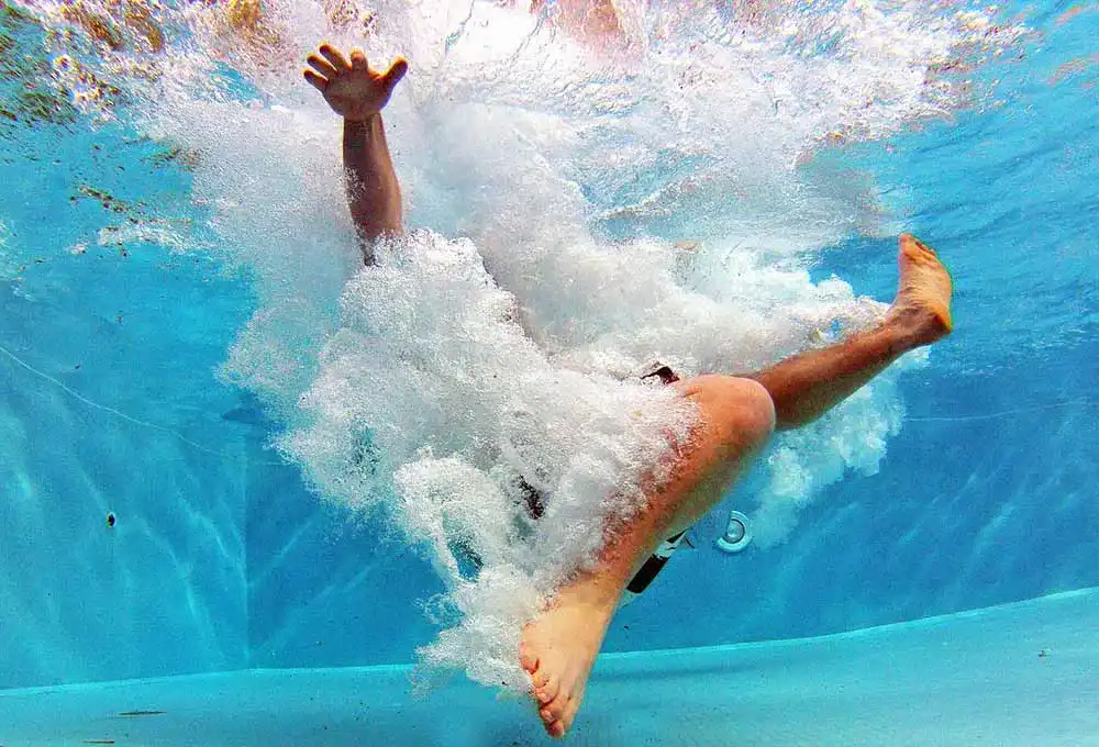 kat-pool-519453_1920 Poolsauger