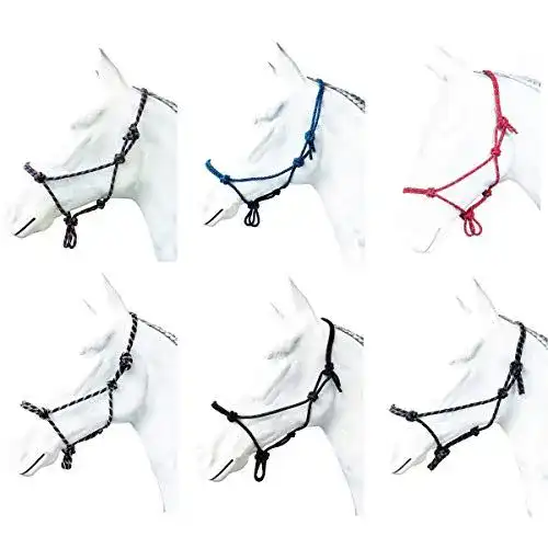 Die beste Knotenhalfter Marengos rot/dunkelblau Vollblut 2026 Test Bestseller Knotenhalfter Marengos rot/dunkelblau Vollblut