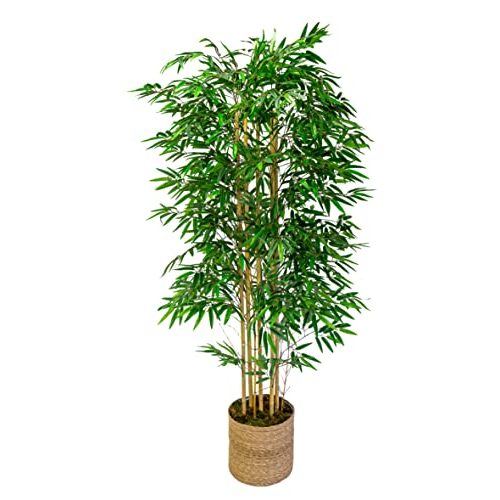 Die beste kunstbaum maia shop bambusbaum mit natuerlichem schilf Bestsleller kaufen