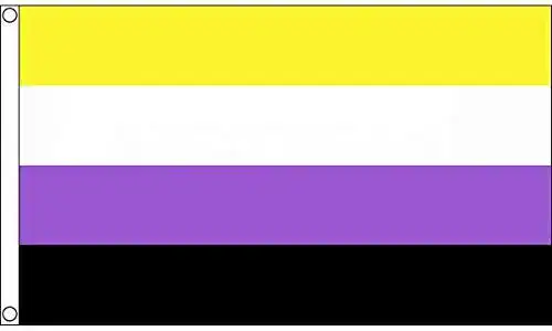 Non-Binary-Flagge LGBTQ+ Pride Flagge, nicht binär, klein