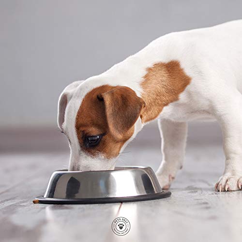 Pets-Deli-Hundefutter PETS DELI – NATURAL PET FOOD 6er-Pack