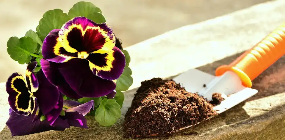 Blumenerde