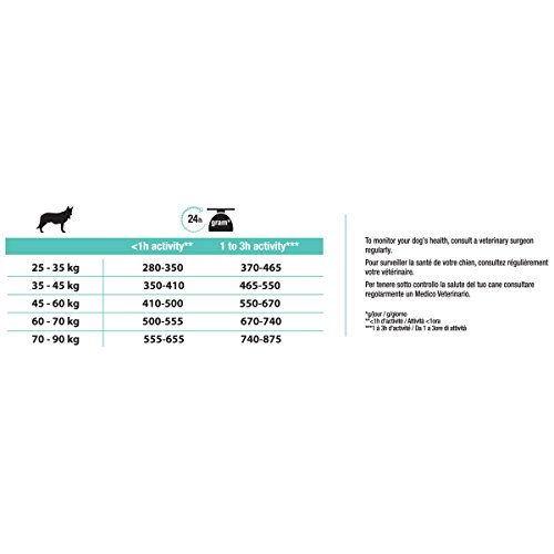 Purina-Trockenfutter Hund Pro Plan Chien, Optidigest Large 14Kg