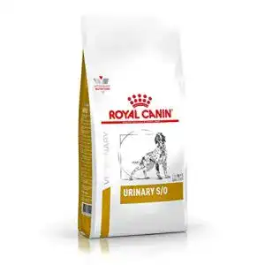 Die beste Royal-Canin-Hundefutter 2026 Test Bestseller Royal-Canin-Hundefutter