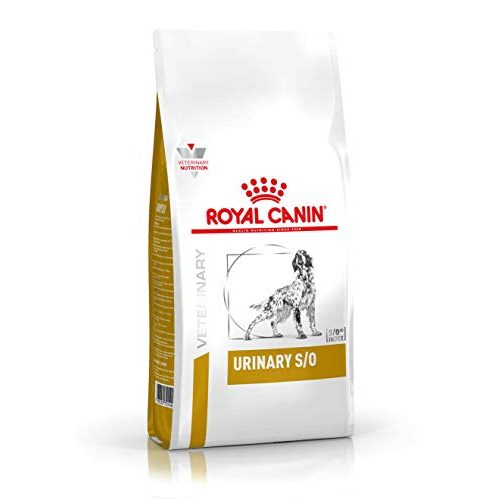Die beste royal canin hundefutter royal canin urinary s o hund 13 kg Bestsleller kaufen