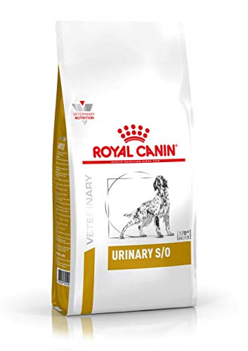 Die beste royal canin hundefutter royal canin urinary s o hund 13 kg Bestsleller kaufen