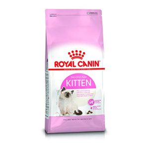 Royal-Canin-Katzenfutter ROYAL CANIN 55101 Kitten 2 kg
