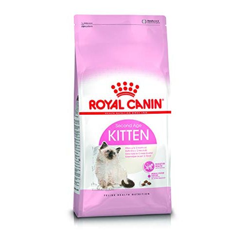 Die beste royal canin katzenfutter royal canin 55101 kitten 2 kg Bestsleller kaufen
