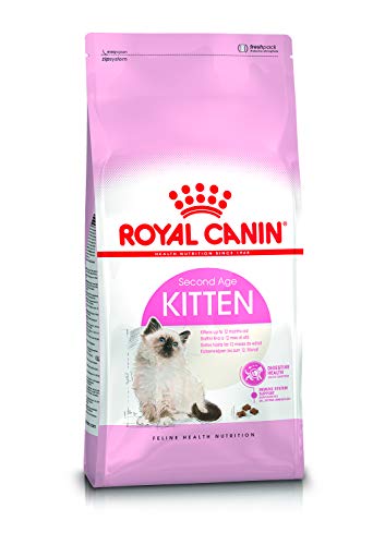 Die beste royal canin katzenfutter royal canin 55101 kitten 2 kg Bestsleller kaufen