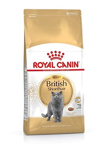 Die beste royal canin katzenfutter royal canin feline british shorthair Bestsleller kaufen