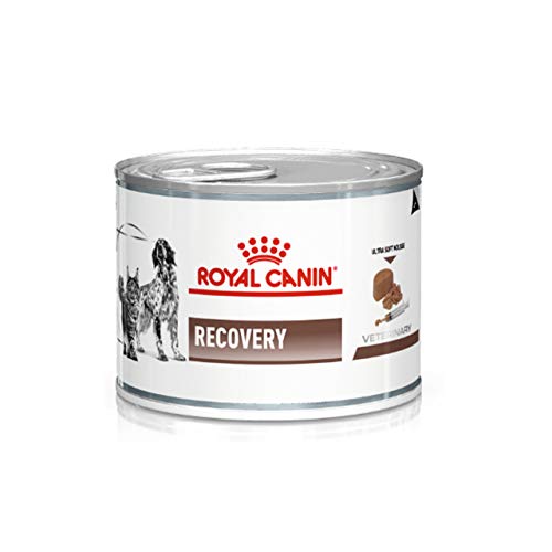Die beste royal canin nassfutter hund royal canin recovery 12 x 195 g Bestsleller kaufen