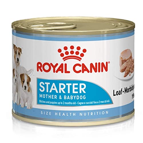 Die beste royal canin nassfutter hund royal canin starter mousse 12er Bestsleller kaufen