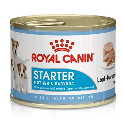 Die beste Royal-Canin-Nassfutter Hund ROYAL CANIN Starter mousse, 12er 2026 Test Bestseller Royal-Canin-Nassfutter Hund ROYAL CANIN Starter mousse, 12er