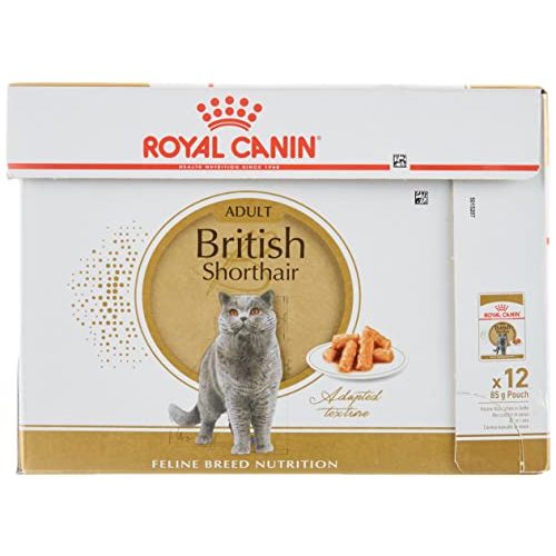 Die beste royal canin nassfutter katze royal canin british shorthair Bestsleller kaufen
