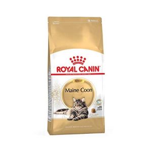 Royal-Canin-Trockenfutter Katze ROYAL CANIN Main Coon 31