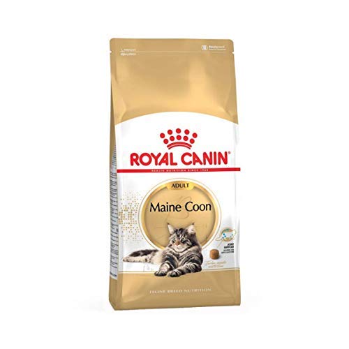 Die beste royal canin trockenfutter katze royal canin main coon 31 Bestsleller kaufen