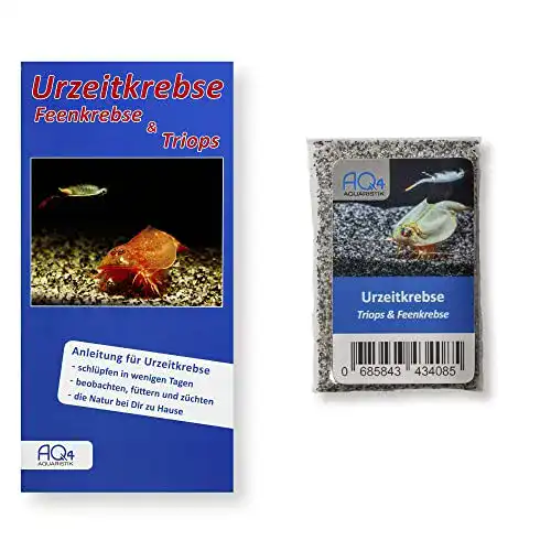 Urzeitkrebse AQ4Aquaristik Mix Triops UND Feenkrebse