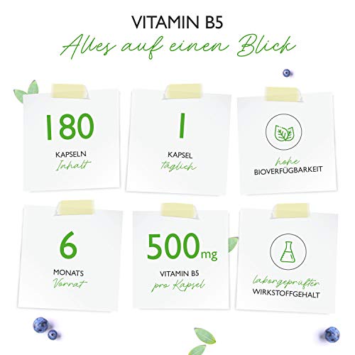 Vitamin B5 Vit4ever mit 500 mg, 180 Kapseln, Pantothensäure
