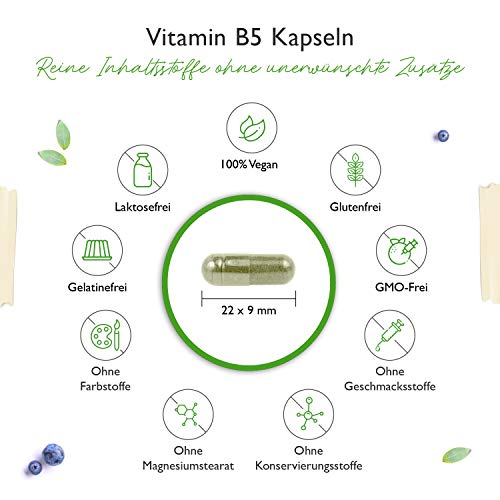 Vitamin B5 Vit4ever mit 500 mg, 180 Kapseln, Pantothensäure