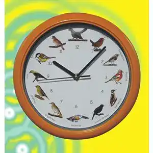 Vogeluhr WIM-SHOP Vogel Uhr mit heimischen Vögeln