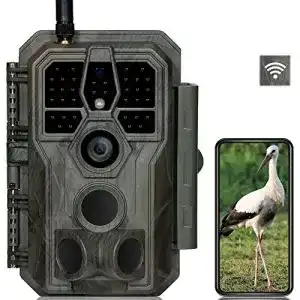 Wildkamera-mit-App