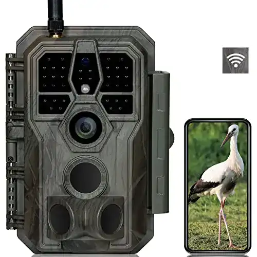 Wildkamera-mit-App