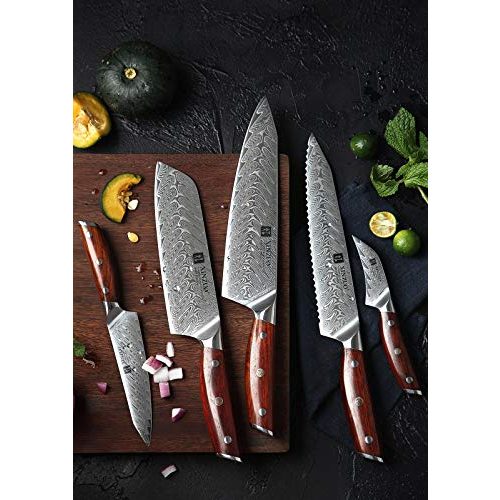Xinzuo-Messer XINZUO Küchenmesser Set 5er, VG10 Damaststahl
