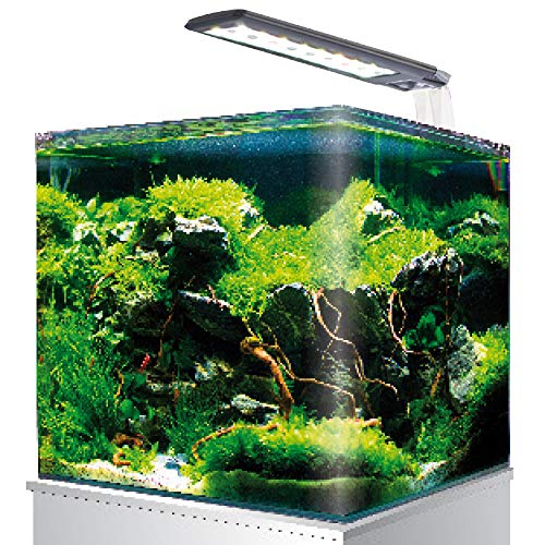 Die beste 60 liter aquarium amtra nanotank cube system 60 Bestsleller kaufen