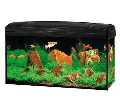 60-Liter-Aquarium Dehner Gute Wahl Aquarium Starterset Scout
