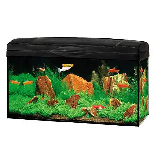 60-Liter-Aquarium Dehner Gute Wahl Aquarium Starterset Scout
