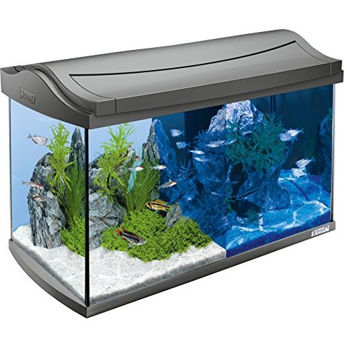 Die beste 60 liter aquarium tetra aquaart led aquarium komplett set Bestsleller kaufen