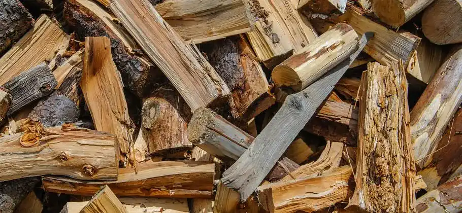Holzspalter Holzspalter